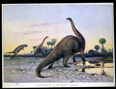 Prähistorische Tiere: ein Laelaps greift einen Brontosaurus an von Wilhelm Kuhnert